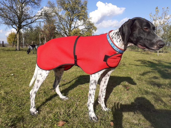 Schnell trocknender Hundemantel